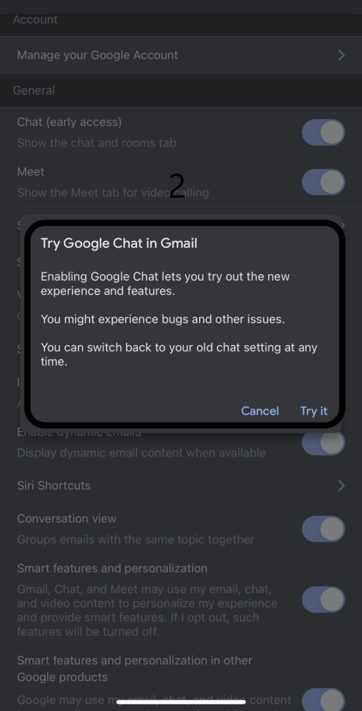Enable Try Gmail Chat to get the feature